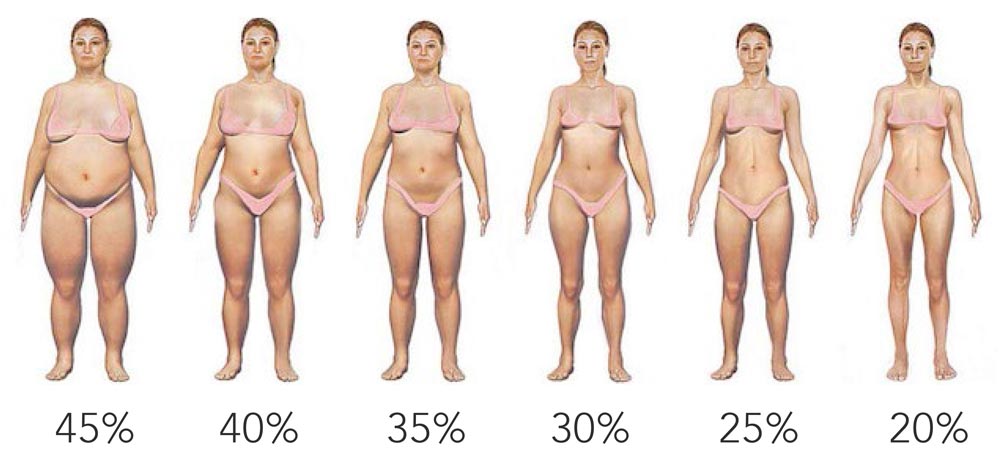 Female-Bodyfat-Percentage